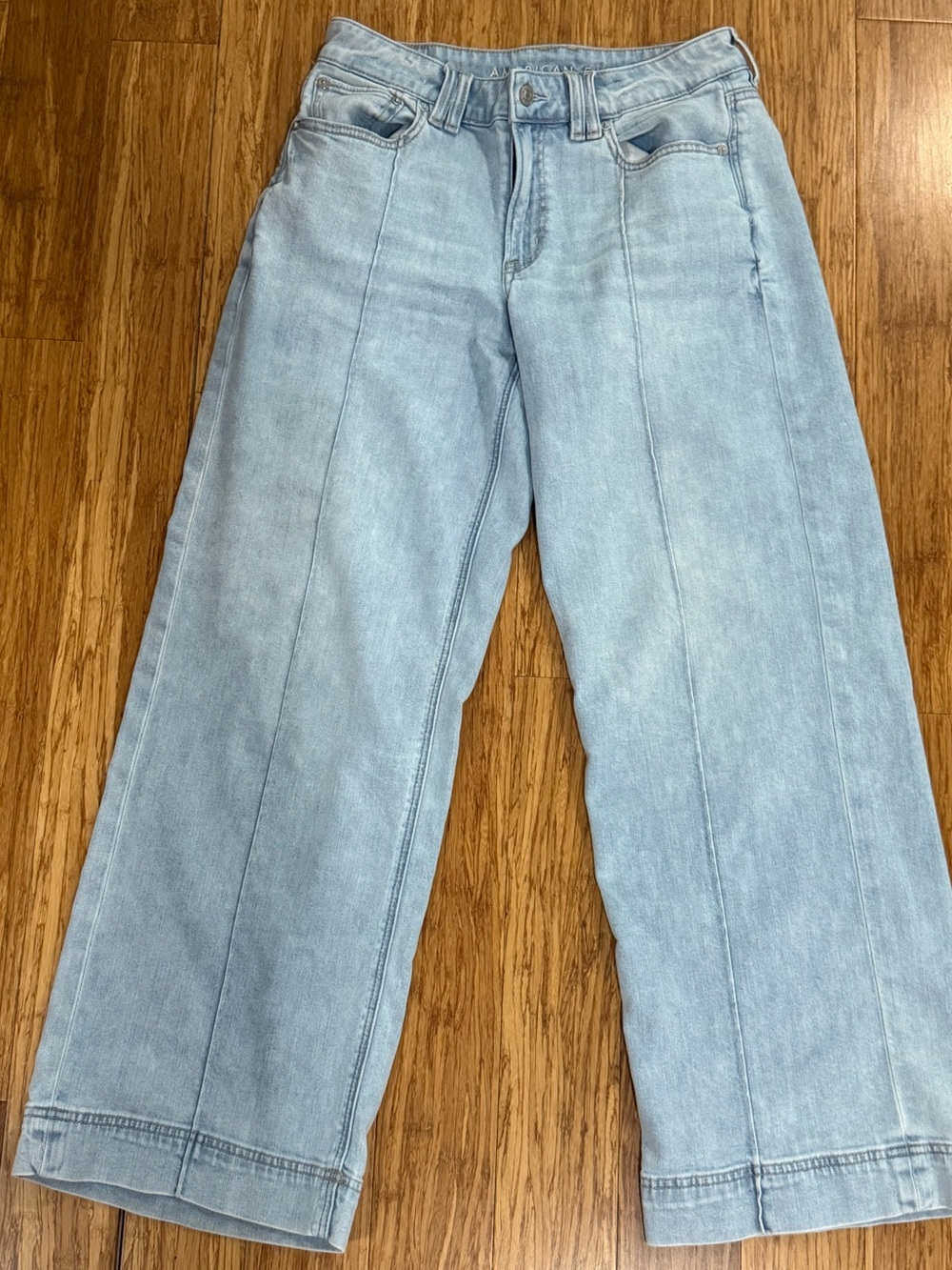 American Eagle Low Rise Baggy Wide Leg Jeans